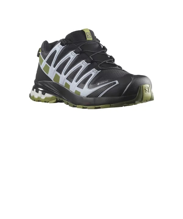 SALOMON shoes XA Pro 3D V8 GTX W black/green/light blue