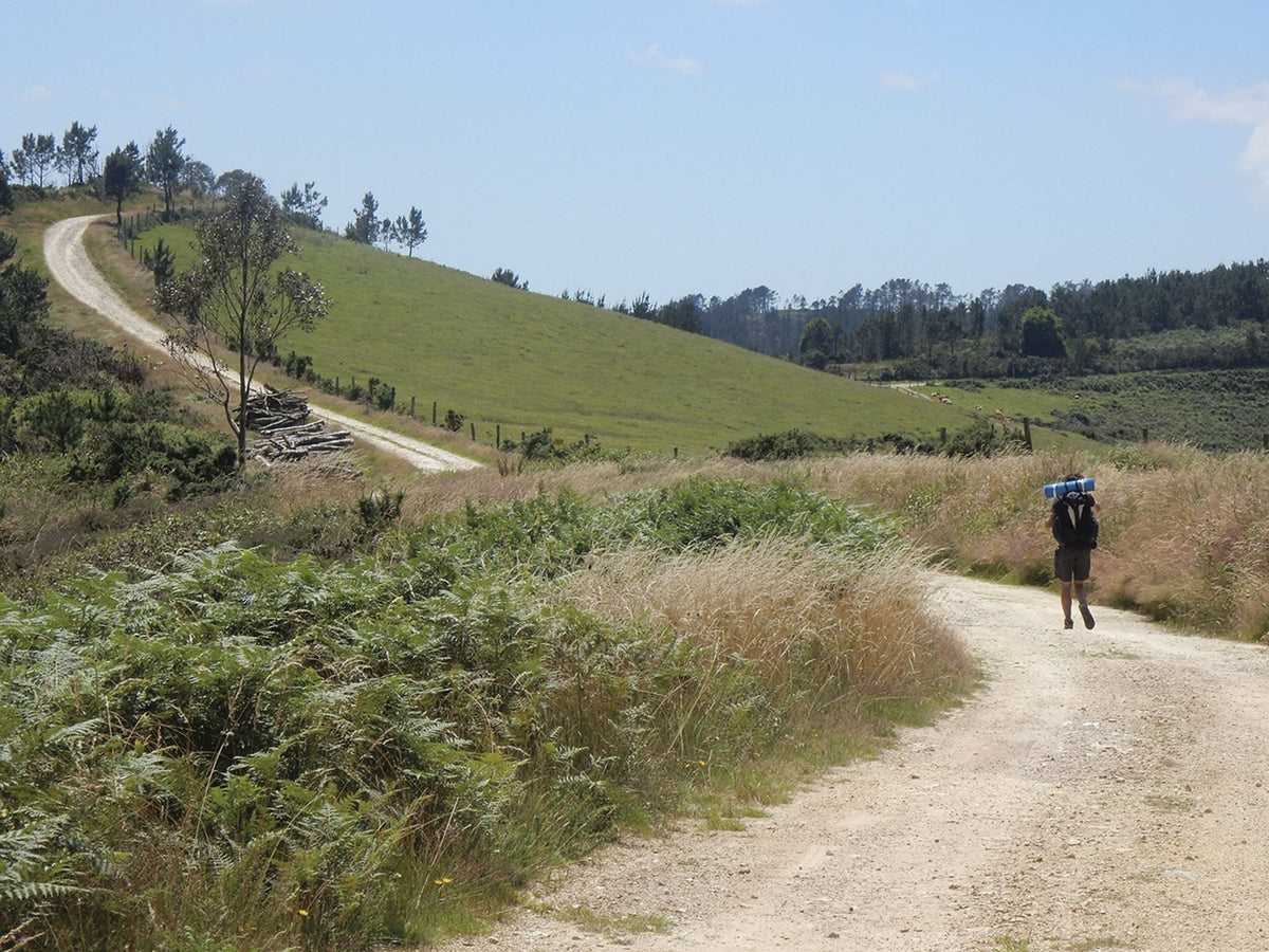 The Camino del Norte and Camino Primitivo To Santiago de Compostela and Finisterre from Irun or Oviedo (ENG) - dabai.lv