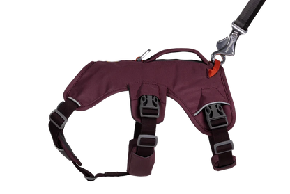 Ruffwear Web Master™ Geschirr