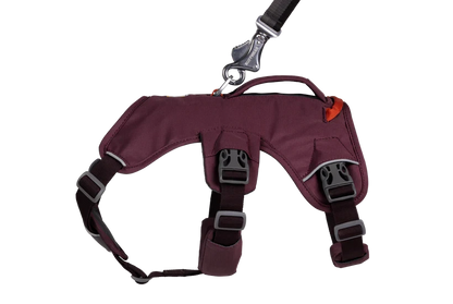 Ruffwear Web Master™ Geschirr