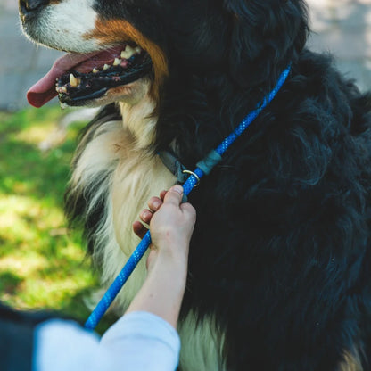 Ruffwear Just-a-Cinch™ Leine