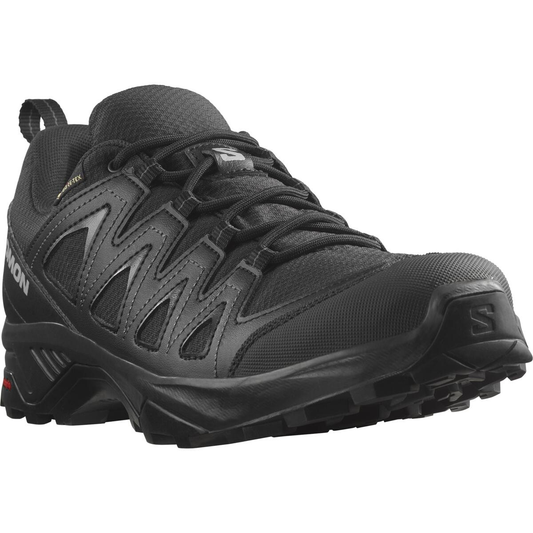 SALOMON обувь X Braze GTX черный