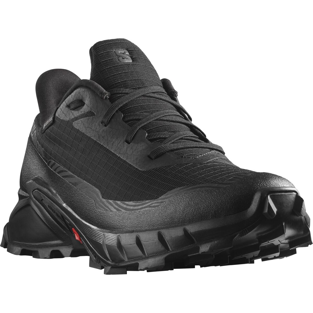 SALOMON shoes Alphacross 5 GTX W black