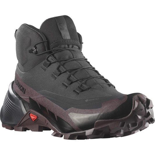 SALOMON shoes Cross Hike Mid GTX 2 W black/violet