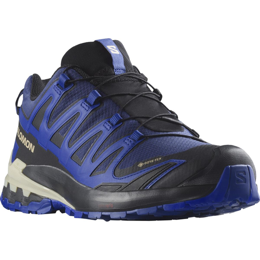 SALOMON shoes XA Pro 3D V9 GTX blue/black