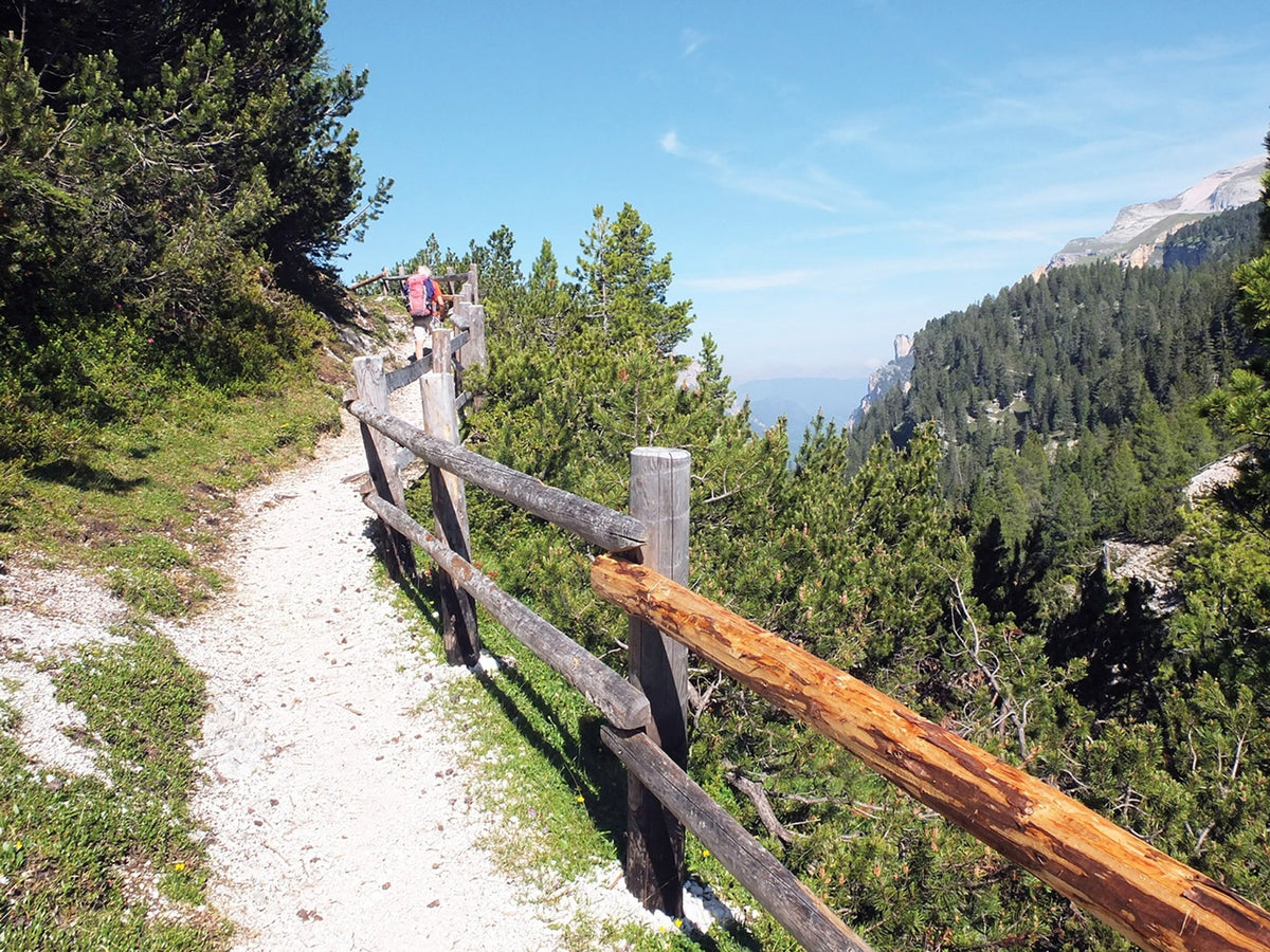 Alta Via 1 - Trekking in den Dolomiten (ENG) - NATURRAUS.DE