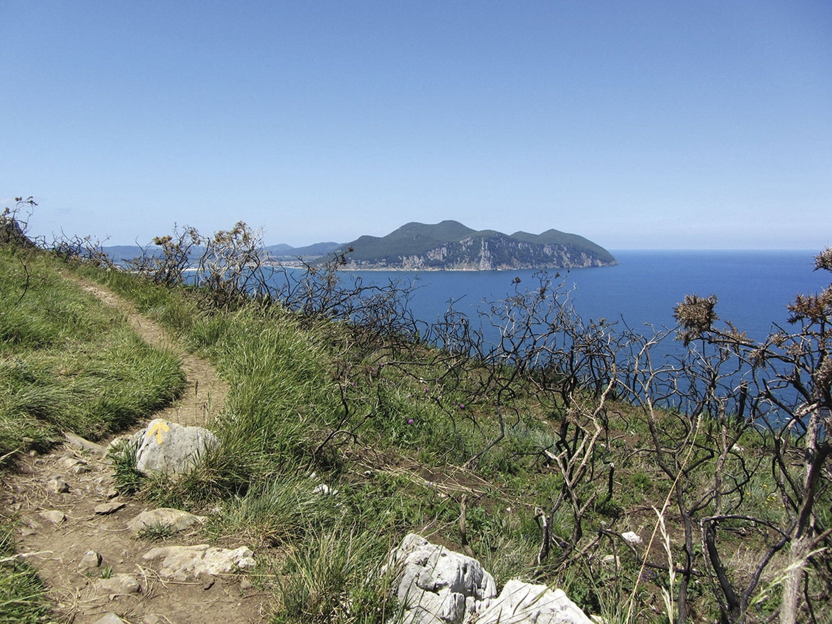 The Camino del Norte and Camino Primitivo To Santiago de Compostela and Finisterre from Irun or Oviedo (ENG) - dabai.lv
