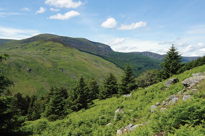 Walking The Wicklow Way (Eng)